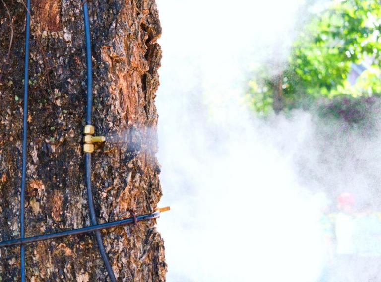 Comment réussir l'élagage de vos arbres à Gardanne ?