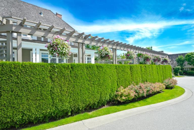 Quand faire l'entretien de son jardin à Bouc-Bel-Air ?